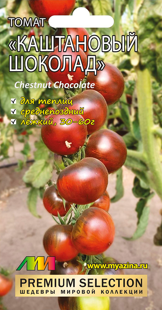         (Chestnut Chocolate), 5 . Premium Selection, ,    123 