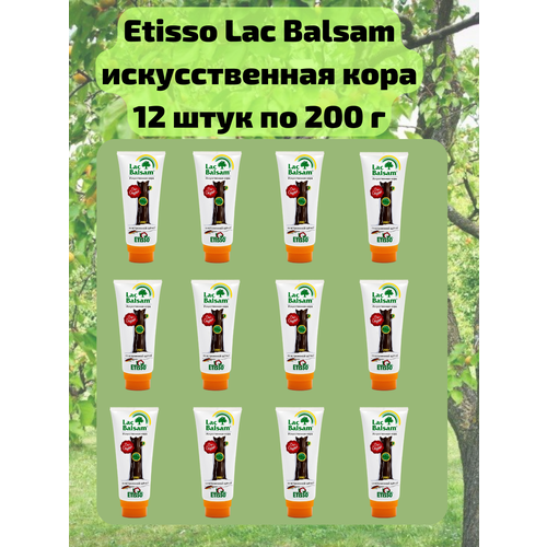  12 .         ,   , 200 Etisso / Lac Balsam 10759