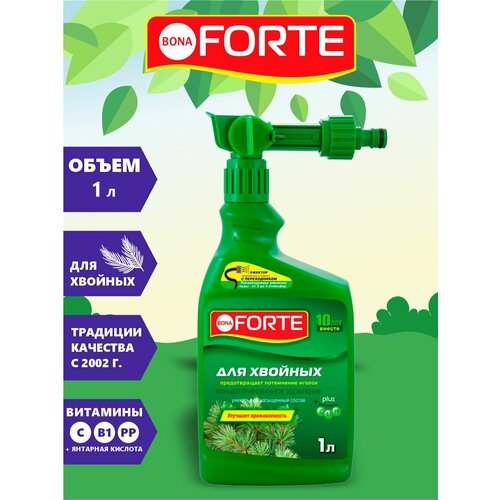 Bona Forte        1  1389