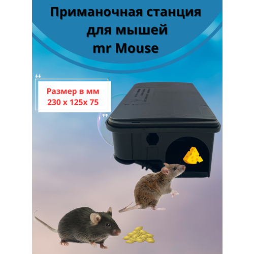 Mr. Mouse     230
