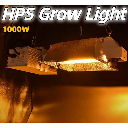 HPS 1000         10600