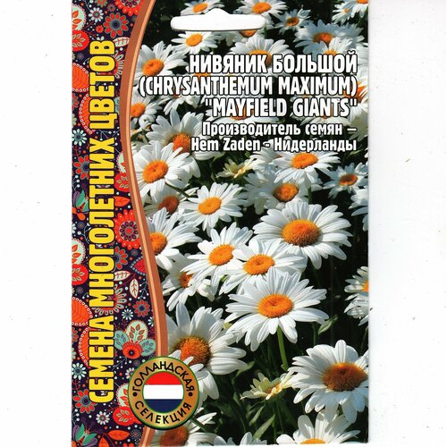   / Chrysanthemum maximum,  ( 1 : 0.2   ) 199