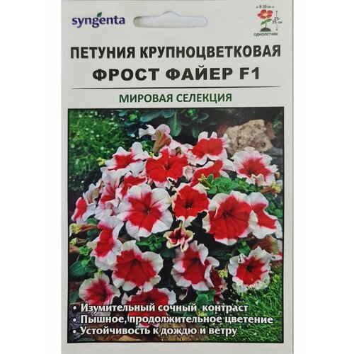     F1, Syngenta, ,    375 