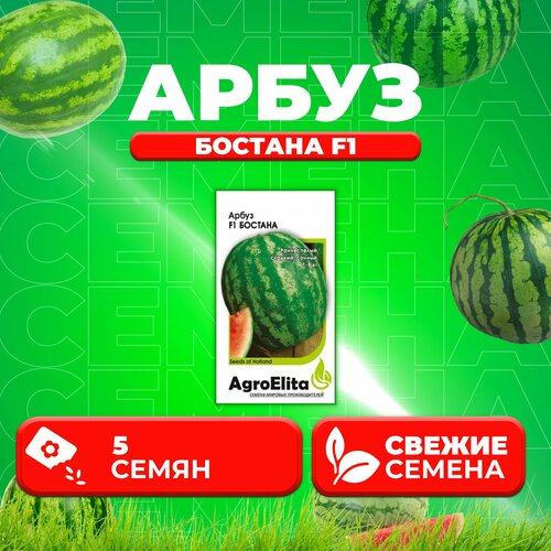   F1, 5, AgroElita (1 ) 387