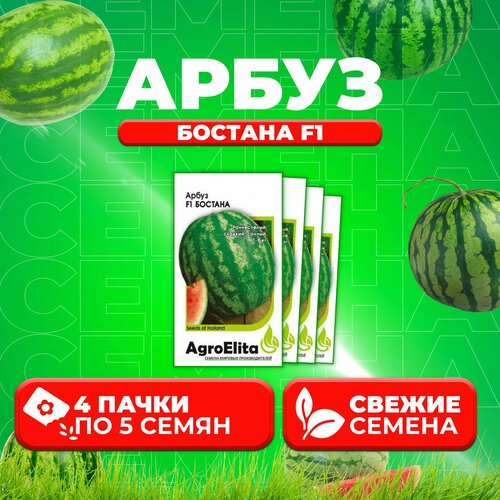   F1, 5, AgroElita (4 ), ,    634 