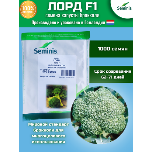  F1 -   , 1 000 , SEMINIS/ () 2120