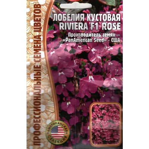   Riviera F1 Rose,   ( 1 : 5  ) 265