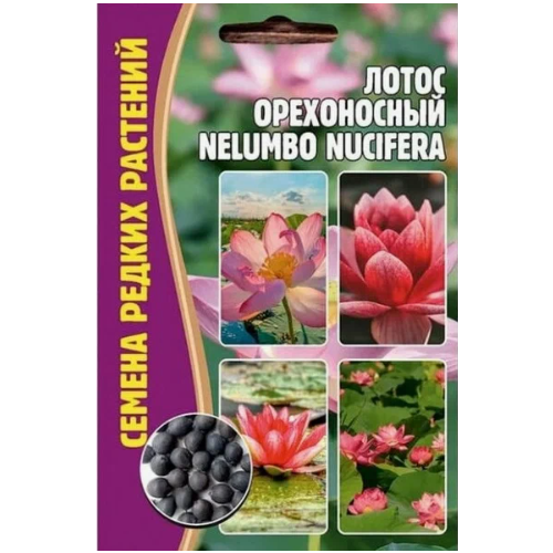   Nelumbo nucifera ( 1 : 2  ) 370