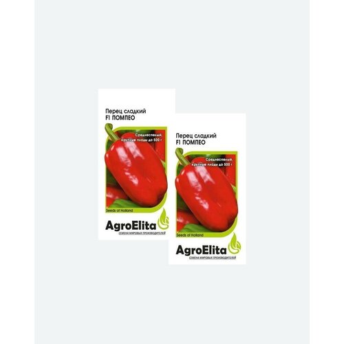     F1, 5, AgroElita, Nunhems(2 ) 497