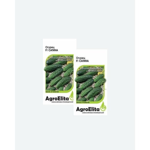    F1, 5, AgroElita, Nunhems(2 ), ,    398 