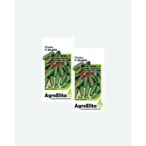    F1, 5, AgroElita, Seminis(2 ) 390