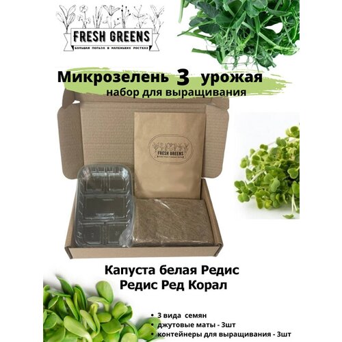     Fresh Greens (     ), ,    386 