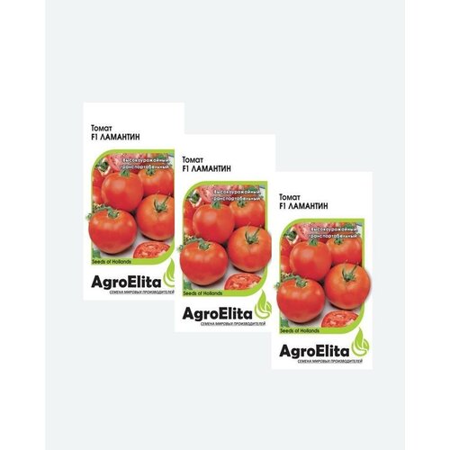    F1, 5, AgroElita, Nunhems(3 ), ,    393 