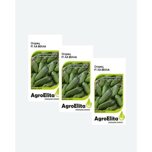     F1, 0,3, AgroElita, Satimex(3 ) 341