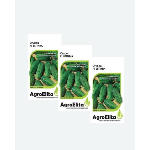    F1, 5, AgroElita, Nunhems(3 ) 468