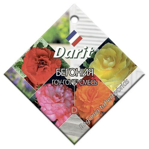  Darit  -  () F1 6  272