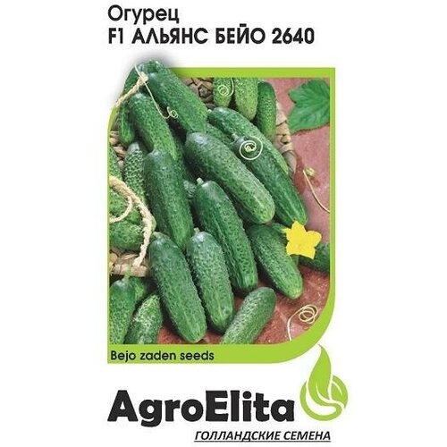   AgroElita    2640 F1 10 ., 10 . 734