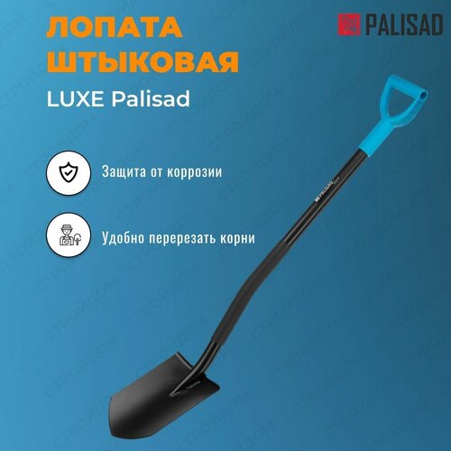    PALISAD LUXE,( ,   .) 885