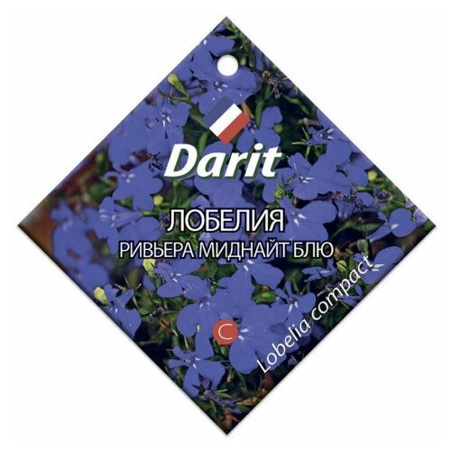  Darit    , 10  107