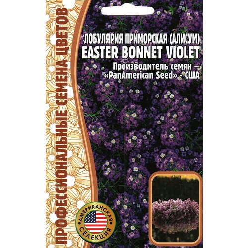   () Easter bonnet violet ( 1 : 20  ) 229
