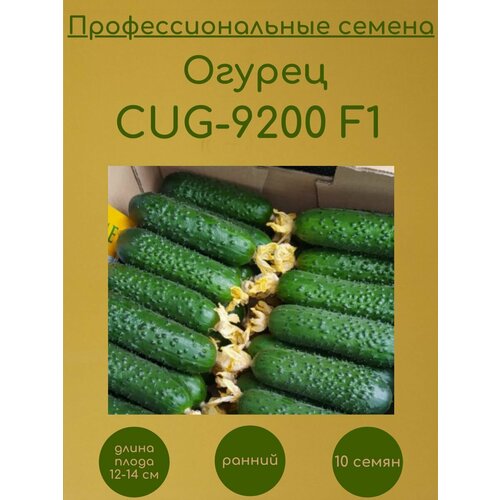  CUG-9200 F1 ( F1) 10  296