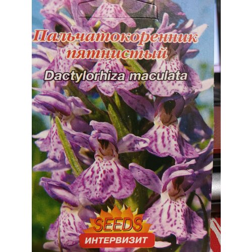   (Dactylorhiza maculata) 350