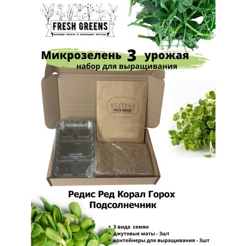     Fresh Greens (    ), ,    386 