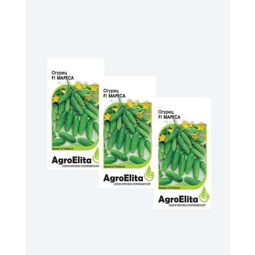    F1, 5, AgroElita, Seminis(3 ) 472