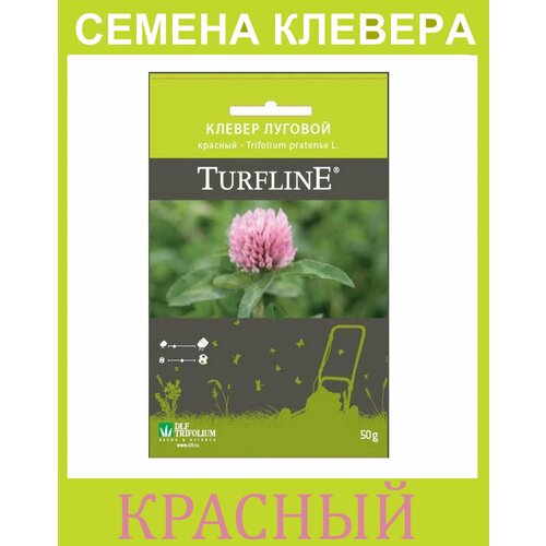    ( )   Trifolium Protense L TURFLINE DLF 0.05  519