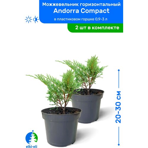   Andorra Compact ( ) 20-30     0,9-3 , ,   ,   2  2390