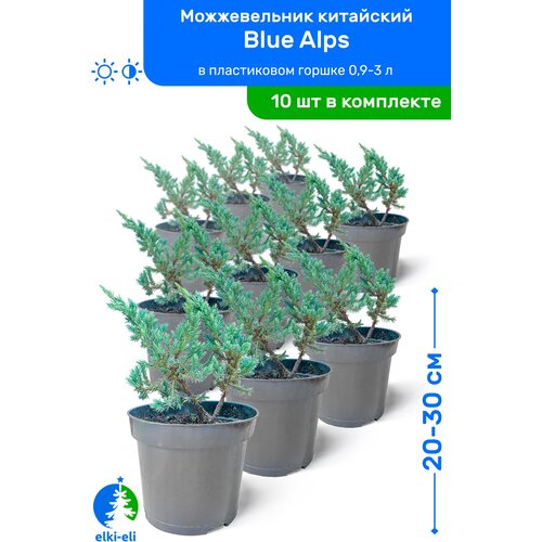   Blue Alps ( ) 20-30     0,9-3 , ,   ,   10  9950