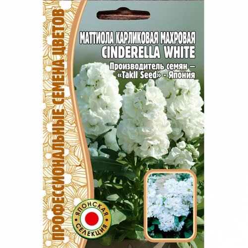     Cinderella White (5 ) 180