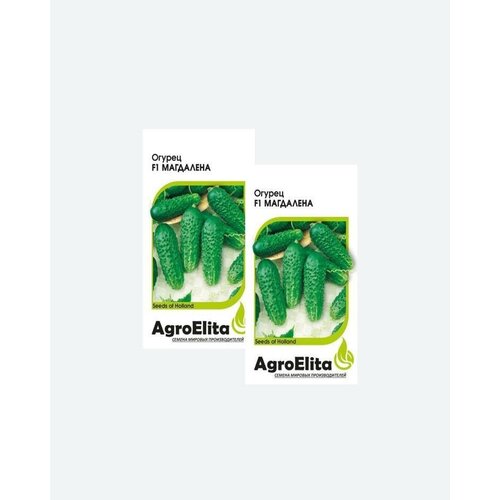    F1, 5, AgroElita, Seminis(2 ) 424