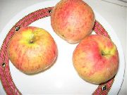 Осеннее полосатое (Штрейфлинг, Штрифель) сорт яблони