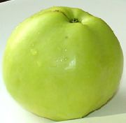 Дачное сорт яблони