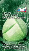 Белорусская 455 сорт белокачанной капусты