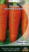 Мармеладка сорт моркови