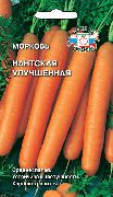 Нантская улучшенная сорт моркови