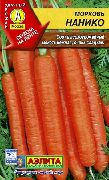 Нанико сорт моркови