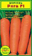 морковь Рига фото средний сорт, выращивание, посадка и уход, купить Рига семена