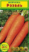 Розаль сорт моркови