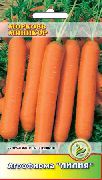 Миникор сорт моркови
