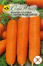морковь Нантик Резистафлай F1 фото ранний гибрид, выращивание, посадка и уход, купить Нантик Резистафлай F1 семена