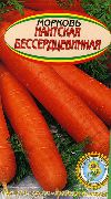 Нантская бессердцевинная сорт моркови