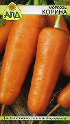 Корина сорт моркови