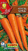 Цукат сорт моркови