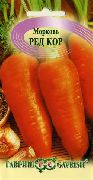 морковь Ред кор фото средний сорт, выращивание, посадка и уход, купить Ред кор семена