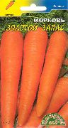 Золотой запас сорт моркови