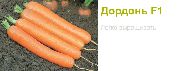 Дордонь F1 (Сингента) сорт моркови