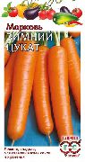 Зимний цукат сорт моркови